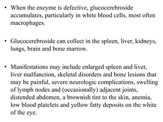 • When the enzyme is defective, glucocerebroside
accumulates, particularly in white blood cells, most often
macrophages.
• Glucocerebroside can collect in the spleen, liver, kidneys,
lungs, brain and bone marrow.
• Manifestations may include enlarged spleen and liver,
liver malfunction, skeletal disorders and bone lesions that
may be painful, severe neurologic complications, swelling
of lymph nodes and (occasionally) adjacent joints,
distended abdomen, a brownish tint to the skin, anemia,
low blood platelets and yellow fatty deposits on the white
of the eye.
 