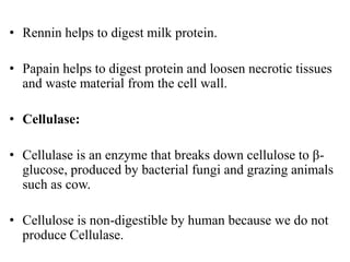 • Rennin helps to digest milk protein.
• Papain helps to digest protein and loosen necrotic tissues
and waste material from the cell wall.
• Cellulase:
• Cellulase is an enzyme that breaks down cellulose to β-
glucose, produced by bacterial fungi and grazing animals
such as cow.
• Cellulose is non-digestible by human because we do not
produce Cellulase.
 