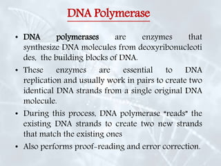 DNA Polymerase
• DNA polymerases are enzymes that
synthesize DNA molecules from deoxyribonucleoti
des, the building blocks of DNA.
• These enzymes are essential to DNA
replication and usually work in pairs to create two
identical DNA strands from a single original DNA
molecule.
• During this process, DNA polymerase “reads” the
existing DNA strands to create two new strands
that match the existing ones
• Also performs proof-reading and error correction.
 