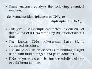 • These enzymes catalyze the following chemical
reaction,
deoxynucleoside triphosphate+DNAn ⇌
diphosphate + DNAn+1
• Catalyses DNA-template-directed extension of
the 3'- end of a DNA strand by one nucleotide at a
time.
• The known DNA polymerases have highly
conserved structure.
• The shape can be described as resembling a right
hand with thumb, finger, and palm domains.
• DNA polymerases can be further subdivided into
two different families.
 