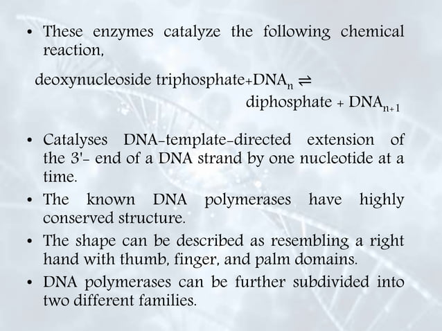 Enzymes involved in dna replication | PPTX | Chemistry | Science