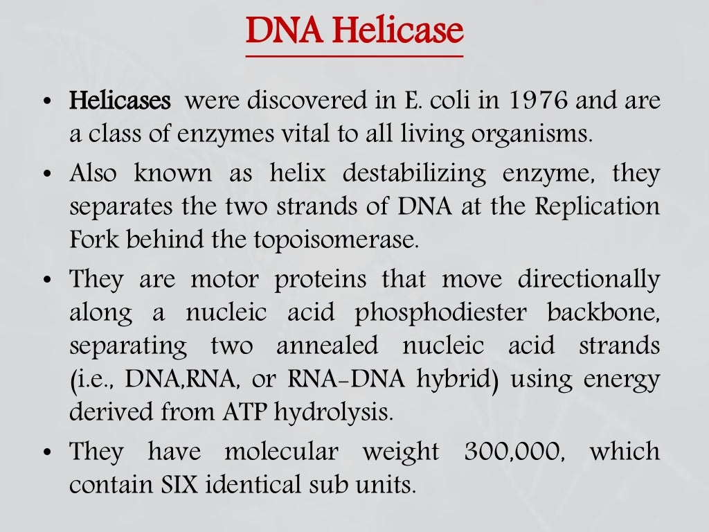 Enzymes involved in dna replication
