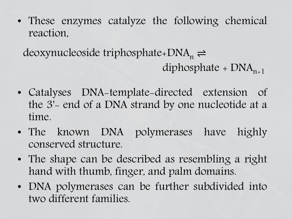 Enzymes involved in dna replication