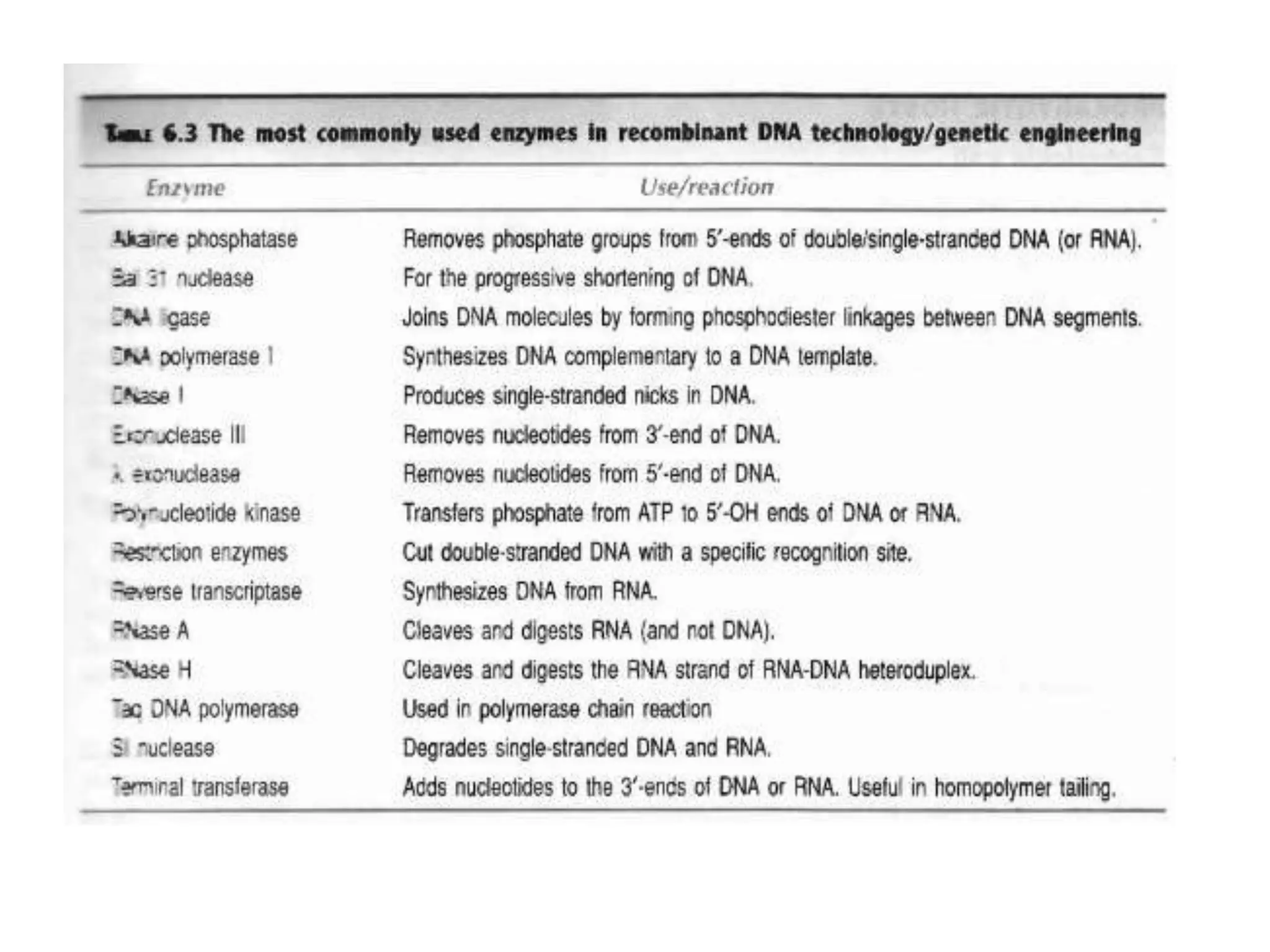 Enzymes involved in rDNA technology.pptx