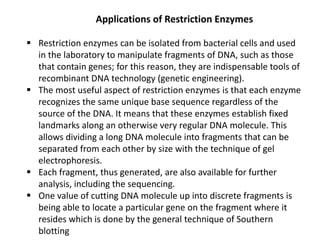 Applications of Restriction Enzymes
 Restriction enzymes can be isolated from bacterial cells and used
in the laboratory to manipulate fragments of DNA, such as those
that contain genes; for this reason, they are indispensable tools of
recombinant DNA technology (genetic engineering).
 The most useful aspect of restriction enzymes is that each enzyme
recognizes the same unique base sequence regardless of the
source of the DNA. It means that these enzymes establish fixed
landmarks along an otherwise very regular DNA molecule. This
allows dividing a long DNA molecule into fragments that can be
separated from each other by size with the technique of gel
electrophoresis.
 Each fragment, thus generated, are also available for further
analysis, including the sequencing.
 One value of cutting DNA molecule up into discrete fragments is
being able to locate a particular gene on the fragment where it
resides which is done by the general technique of Southern
blotting
 