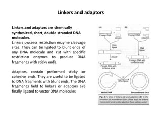 Linkers and adaptors
Linkers and adaptors are chemically
synthesized, short, double-stranded DNA
molecules.
Linkers possess restriction enzyme cleavage
sites. They can be ligated to blunt ends of
any DNA molecule and cut with specific
restriction enzymes to produce DNA
fragments with sticky ends.
Adaptors contain preformed sticky or
cohesive ends. They are useful to be ligated
to DNA fragments with blunt ends. The DNA
fragments held to linkers or adaptors are
finally ligated to vector DNA molecules
 