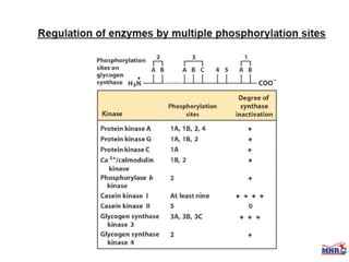 Enzymes & isoenzymes by Dr. Anurag Yadav