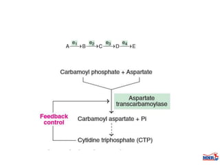 Enzymes & isoenzymes by Dr. Anurag Yadav