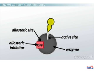 Enzymes & isoenzymes by Dr. Anurag Yadav