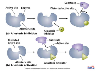 Enzymes & isoenzymes by Dr. Anurag Yadav