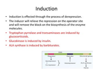 Enzymes & isoenzymes by Dr. Anurag Yadav