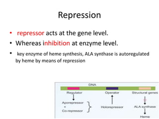 Enzymes & isoenzymes by Dr. Anurag Yadav