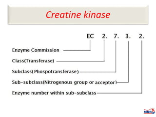 Enzymes & isoenzymes by Dr. Anurag Yadav