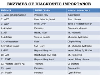 Enzymes & isoenzymes by Dr. Anurag Yadav