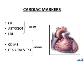 Enzymes & isoenzymes by Dr. Anurag Yadav