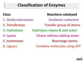 Enzymes & isoenzymes by Dr. Anurag Yadav