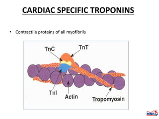 Enzymes & isoenzymes by Dr. Anurag Yadav