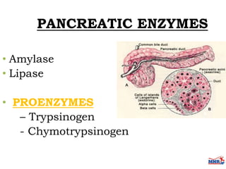 Enzymes & isoenzymes by Dr. Anurag Yadav