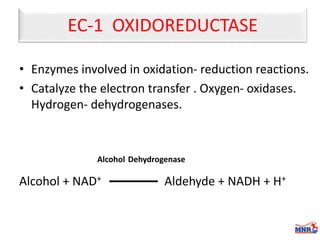 Enzymes & isoenzymes by Dr. Anurag Yadav
