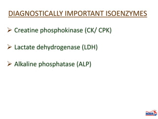 Enzymes & isoenzymes by Dr. Anurag Yadav