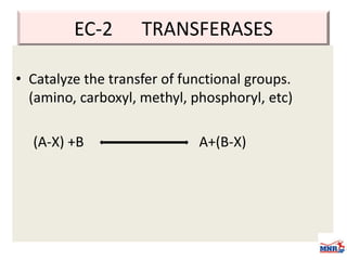Enzymes & isoenzymes by Dr. Anurag Yadav