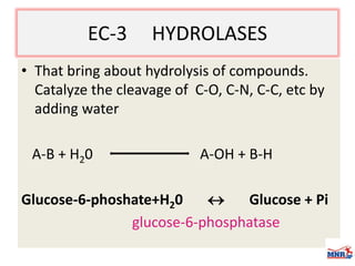 Enzymes & isoenzymes by Dr. Anurag Yadav