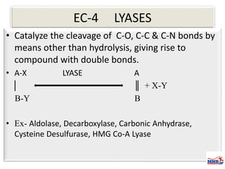 Enzymes & isoenzymes by Dr. Anurag Yadav