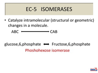 Enzymes & isoenzymes by Dr. Anurag Yadav