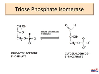 Enzymes & isoenzymes by Dr. Anurag Yadav
