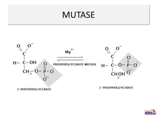 Enzymes & isoenzymes by Dr. Anurag Yadav