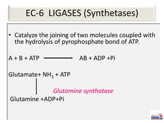 Enzymes & isoenzymes by Dr. Anurag Yadav