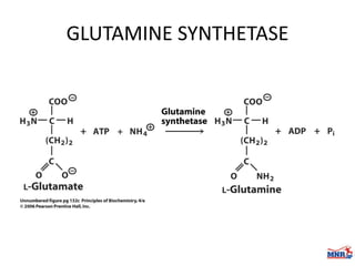 Enzymes & isoenzymes by Dr. Anurag Yadav