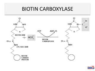 Enzymes & isoenzymes by Dr. Anurag Yadav