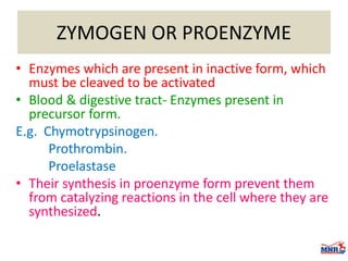 Enzymes & isoenzymes by Dr. Anurag Yadav