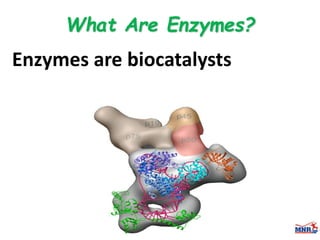 Enzymes & isoenzymes by Dr. Anurag Yadav