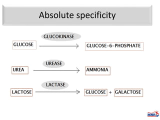 Enzymes & isoenzymes by Dr. Anurag Yadav