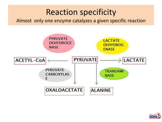 Enzymes & isoenzymes by Dr. Anurag Yadav