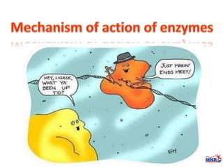 Enzymes & isoenzymes by Dr. Anurag Yadav