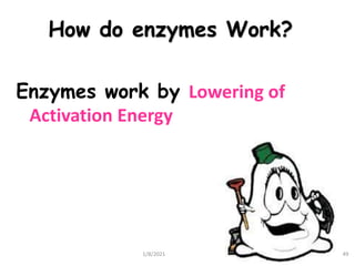 Enzymes & isoenzymes by Dr. Anurag Yadav