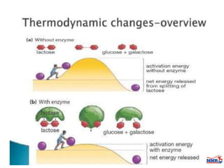 Enzymes & isoenzymes by Dr. Anurag Yadav