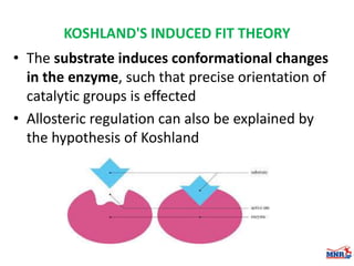 Enzymes & isoenzymes by Dr. Anurag Yadav