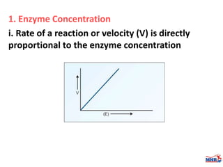 Enzymes & isoenzymes by Dr. Anurag Yadav