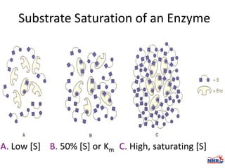 Enzymes & isoenzymes by Dr. Anurag Yadav