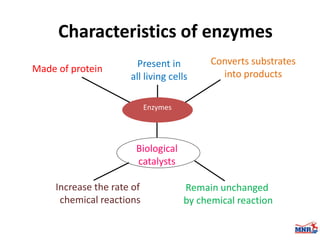 Enzymes & isoenzymes by Dr. Anurag Yadav