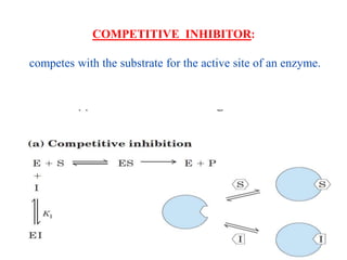 Enzymes & isoenzymes by Dr. Anurag Yadav