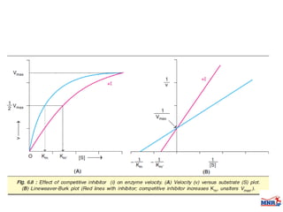 Enzymes & isoenzymes by Dr. Anurag Yadav