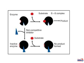 Enzymes & isoenzymes by Dr. Anurag Yadav