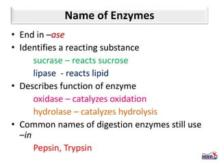 Enzymes & isoenzymes by Dr. Anurag Yadav