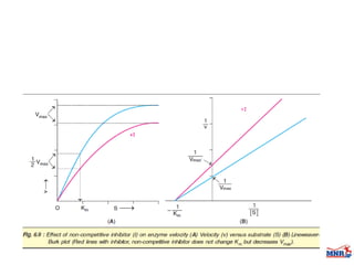 Enzymes & isoenzymes by Dr. Anurag Yadav
