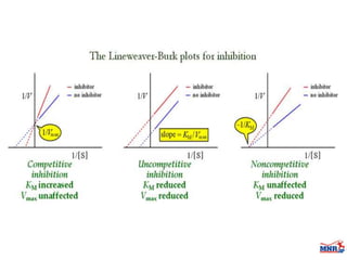 Enzymes & isoenzymes by Dr. Anurag Yadav